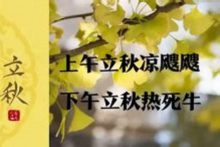 今年立秋热不热,是早秋还是晚秋