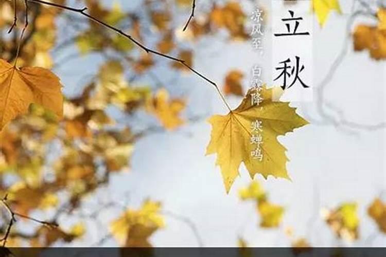 端午节象征着什么寓意