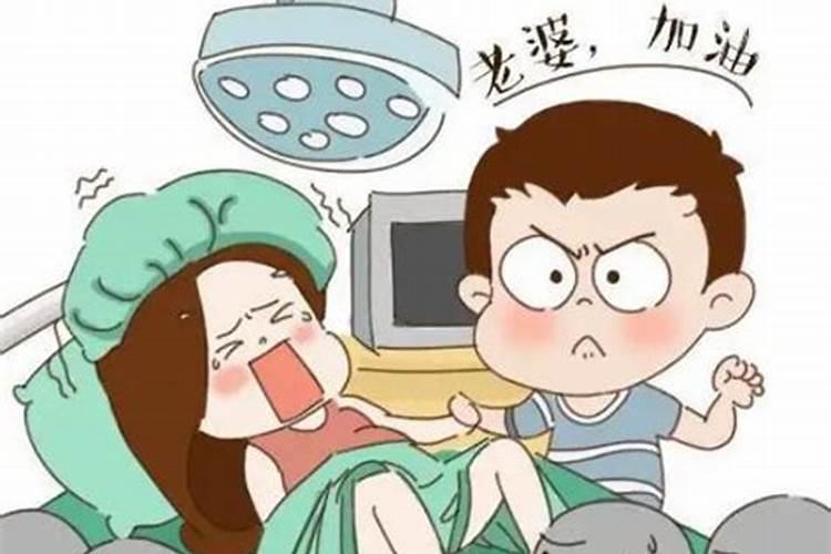 梦见自己老婆回来