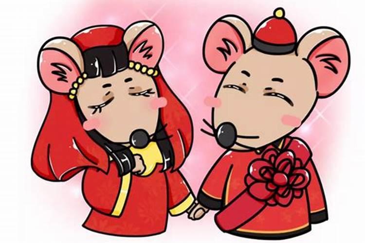 84年鼠与96年鼠结婚好不好,84年女鼠和96年男鼠合婚吗？