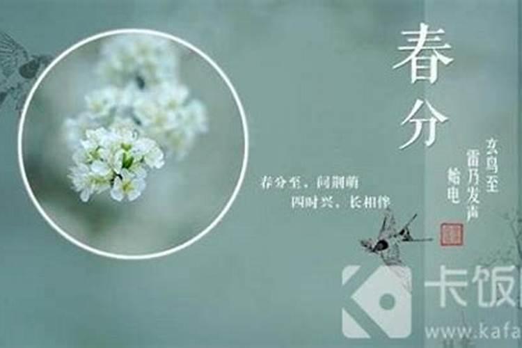 2002年的属相马命运如何,2002年属马女性阴历七月初一早上7:48