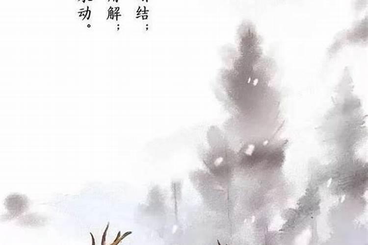 冬至是什么意思思？
