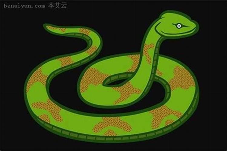 八字免费查真假童子