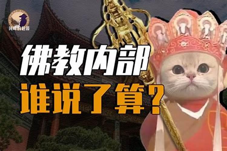 佛教中有童子下凡界,童子命这类说法吗