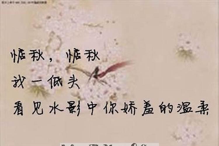 74年属虎48岁是什么命 74年属虎49和50岁命运