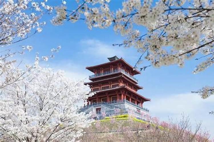 清明节郑州免费景点