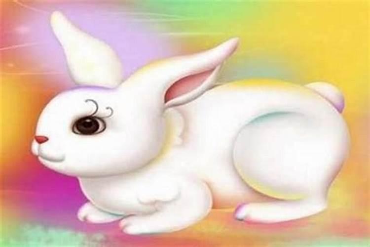 梦见很多屎到处都很脏