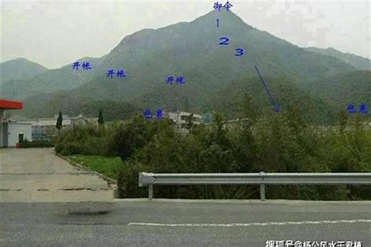 梦到蟒蛇吃人预示着什么