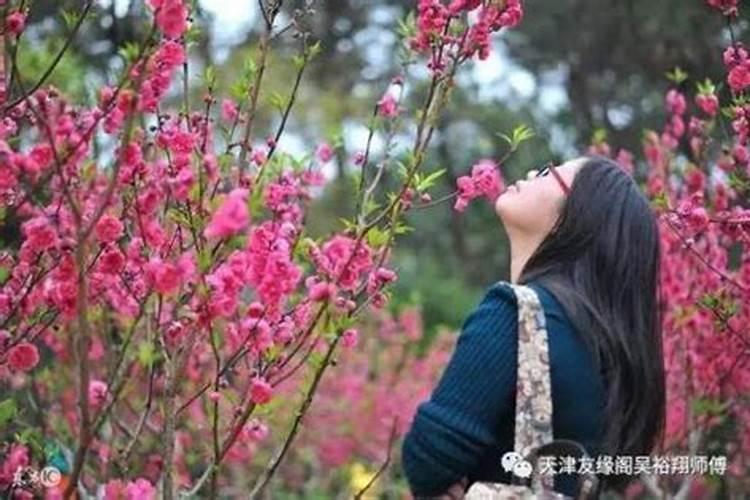 风水催婚姻方法 桃花位摆放花瓶招姻缘？