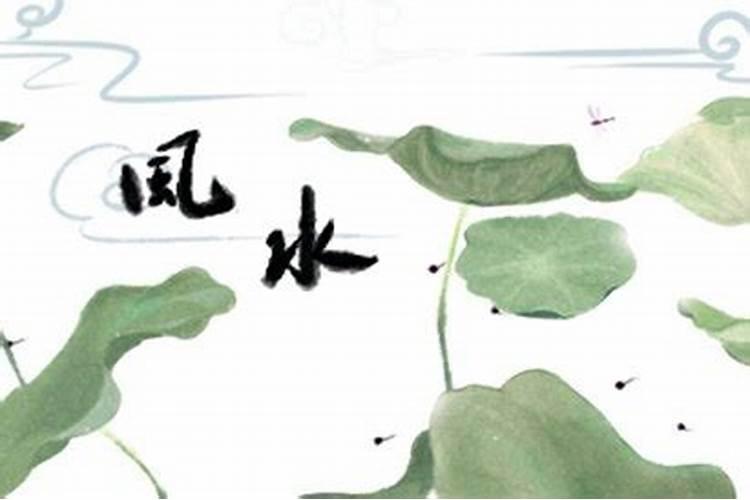 木命适合什么颜色