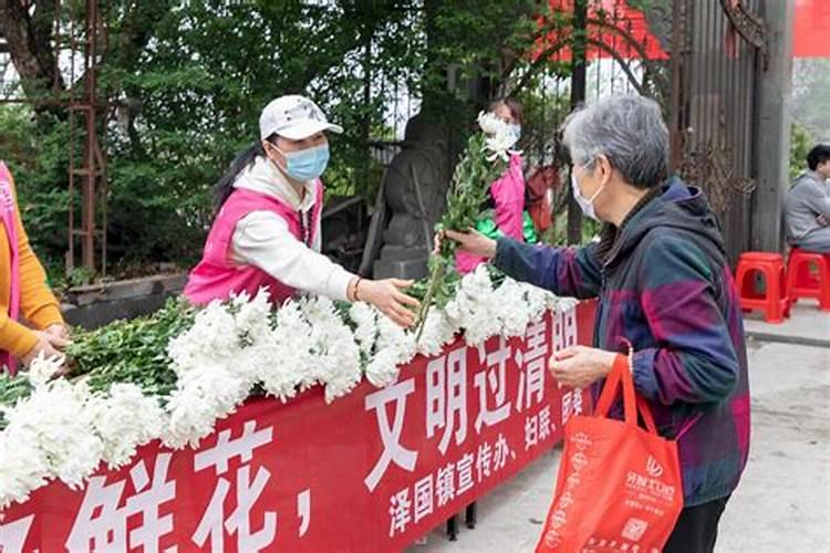 请问清明节为什么用鲜花？