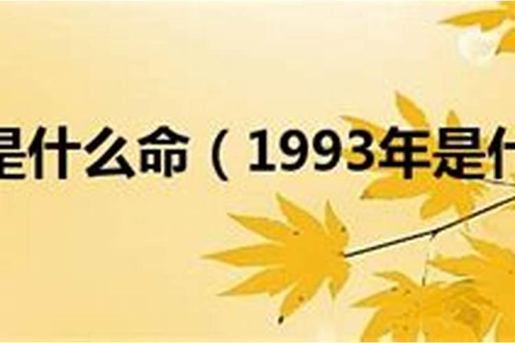 2025年犯太岁蛇带什么吉祥物