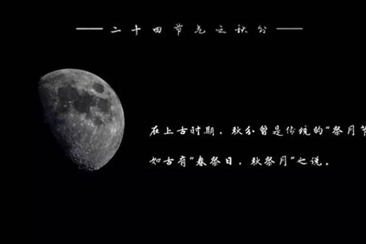 2025生肖兔的运势大全 属兔人2025年每月运势