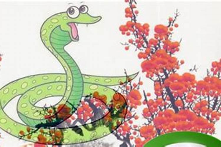 65年蛇在2025年的运势