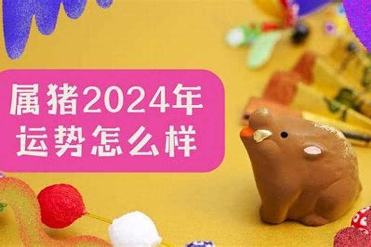 2025属猪的运势和财运1983年如何