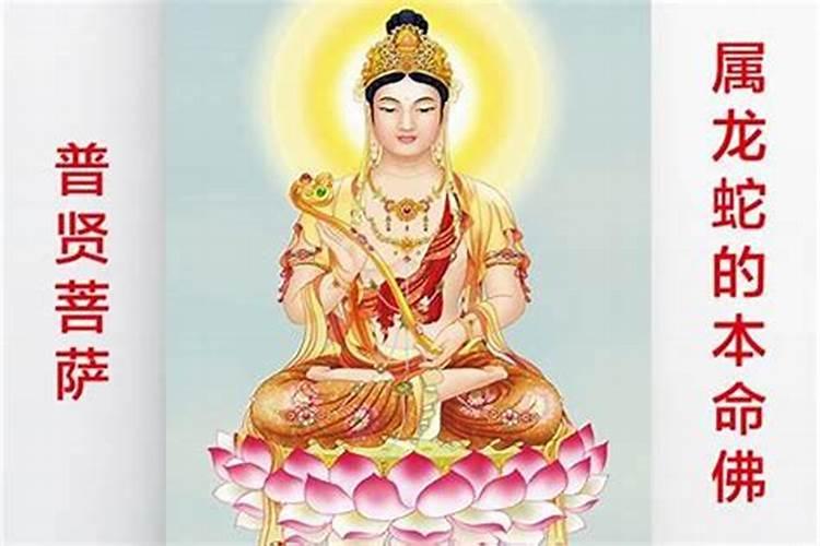我是1987年6月15日的,请问下我的本命年事几几年？