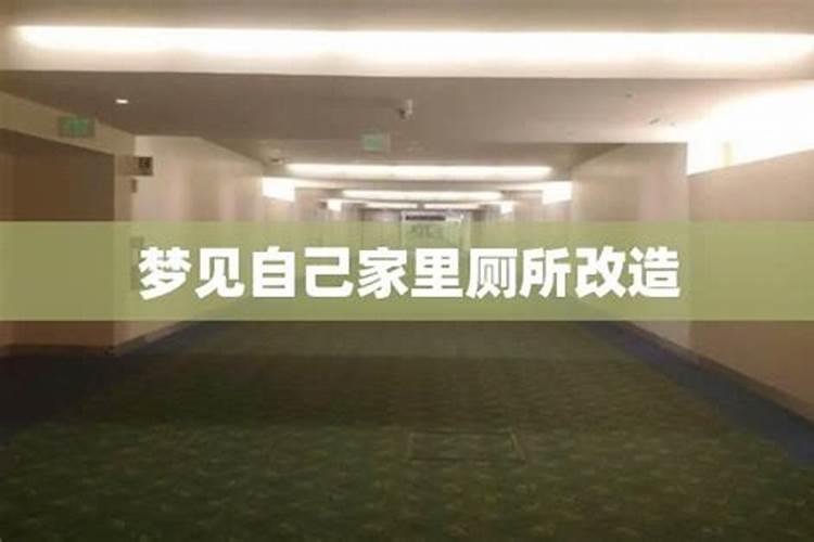 12生肖谁最聪明伶俐