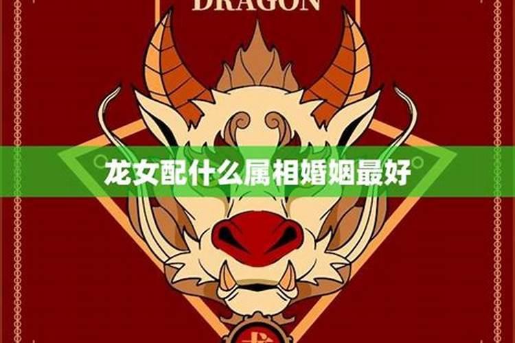 属龙女和什么生肖最合适,属龙的女孩子和什么属相最配