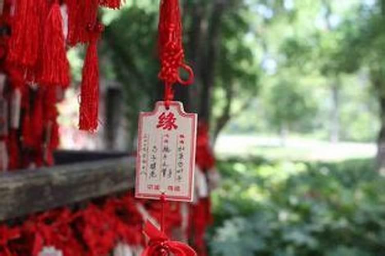 82年属狗2025年运势