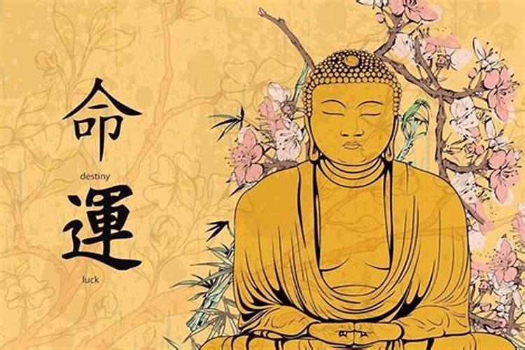 做梦梦到被老鼠咬了怎么破解？