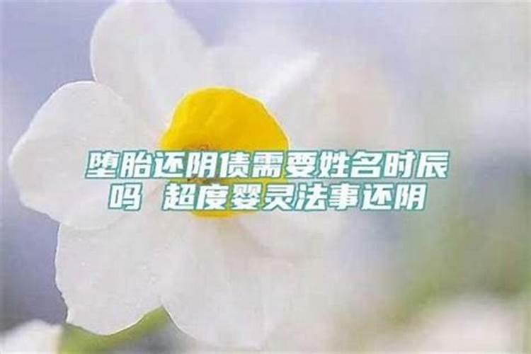 属猴的女孩名字适合用鑫字吗