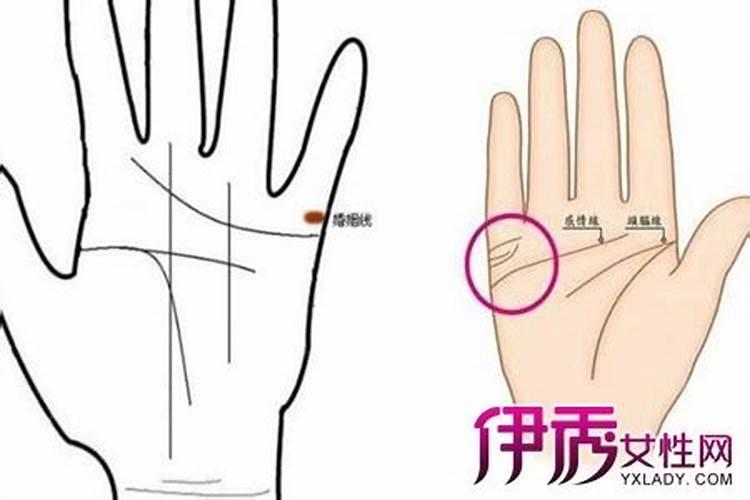 如何看女人的婚姻线