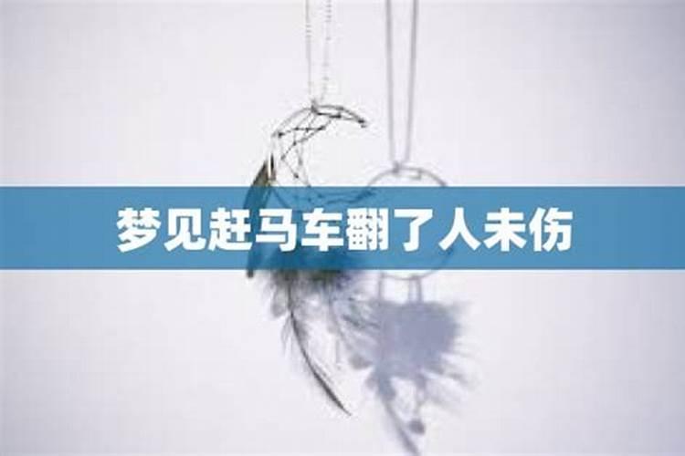 太岁是什么东西