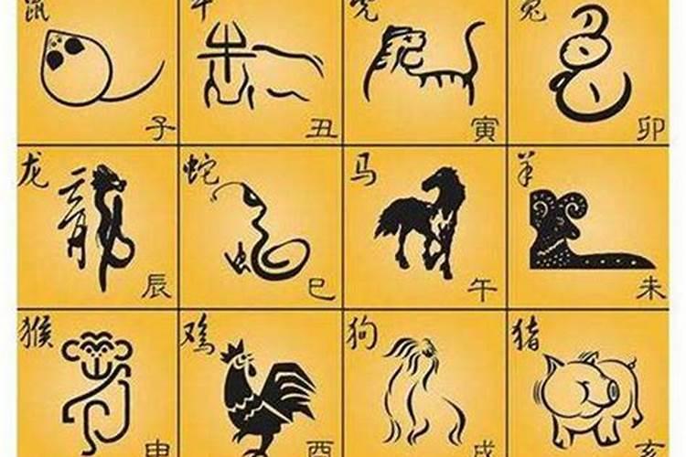 男女婚姻属相很重要吗,两个人的属相对婚姻真的重要吗？真的准吗？