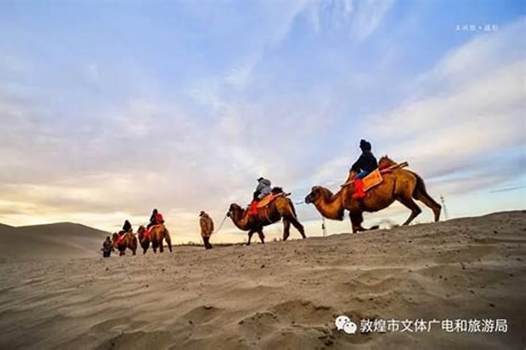 冬至诗数九歌摇有哪些