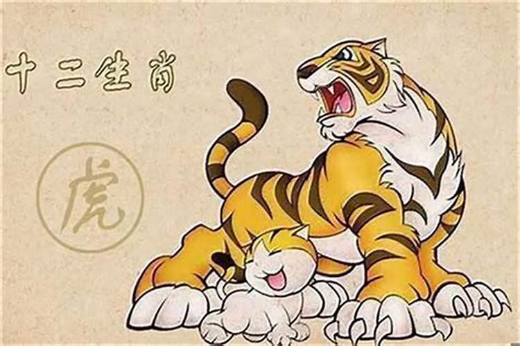 男牛女虎能过一辈子吗 属虎的最佳婚配表