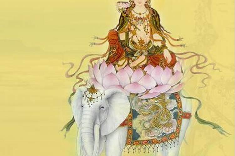 梦见狗咬自己和别人是什么意思
