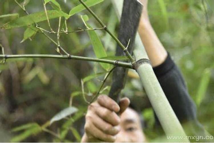 两个人都姓申可以结婚吗