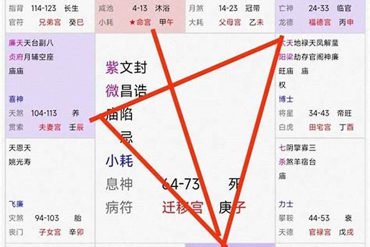 1980年属猴人2025年全年运势运程
