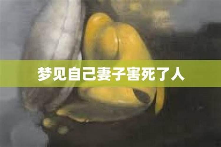 2025属鼠人全年运势详解