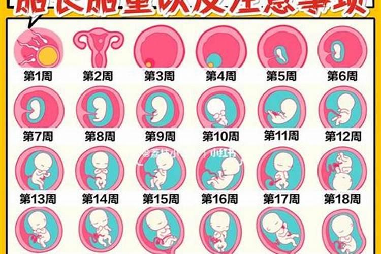 曾经年少无知,犯了不少的错,还打了三次胎,想想那被我打掉的孩子,不管有...