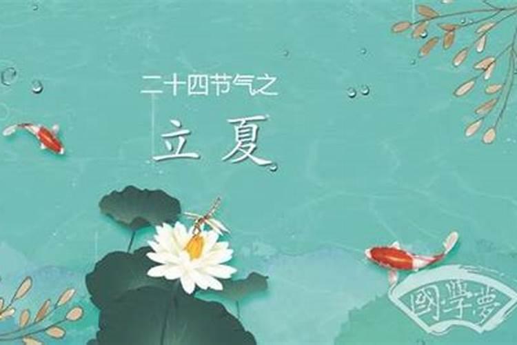 怀孕了想打掉买啥药
