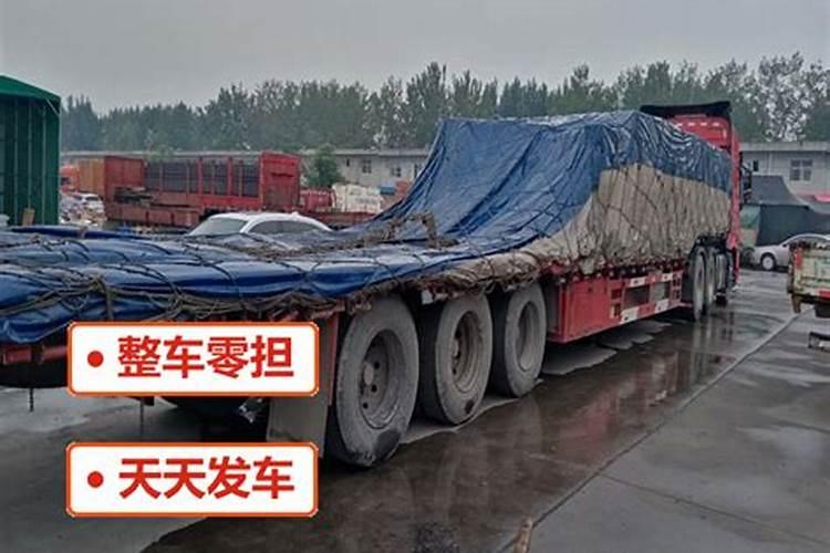 80年属猴女在2025年每月运势