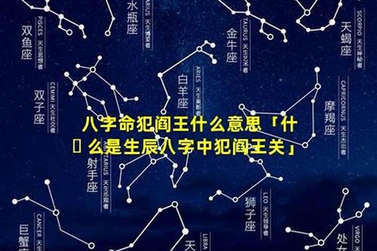 家中养鱼聚财旺运,但鱼缸怎么摆放有讲究,你知道吗？