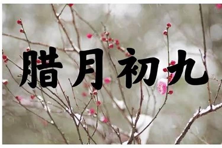 八字合婚40分能结婚吗 合了4个字好不好