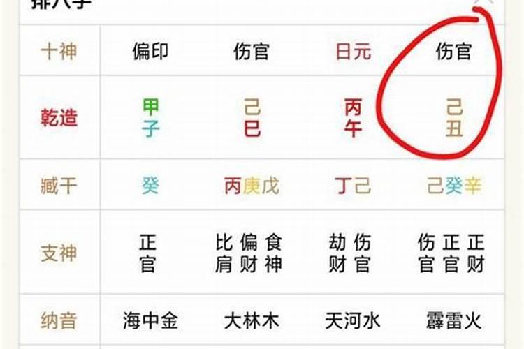 梦见自己在回家的路上全是水的预兆