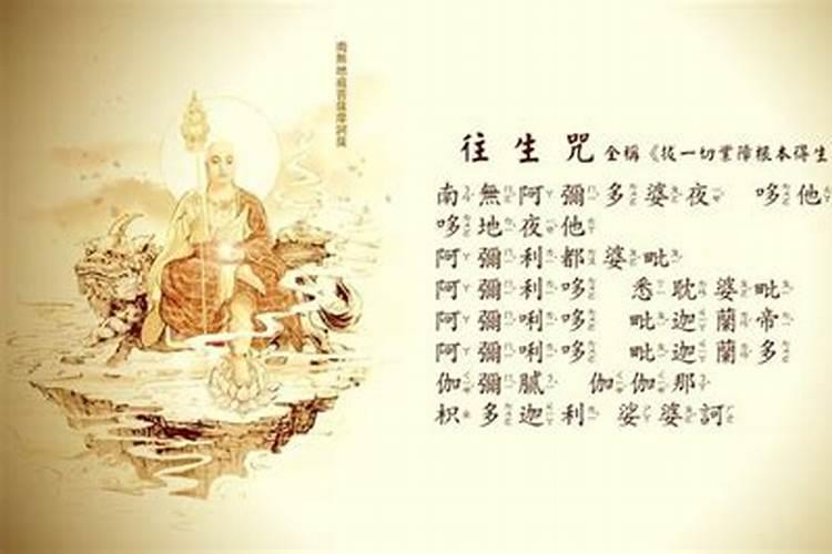 梦见红色的猫是什么意思