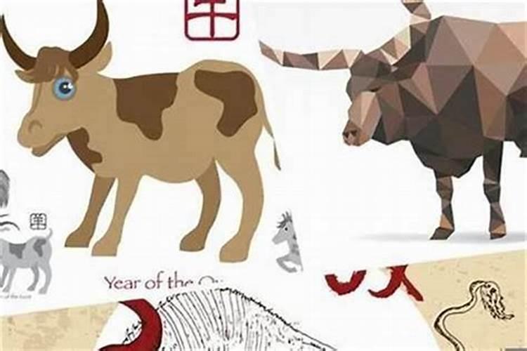 属羊男和属牛女的婚姻怎么样