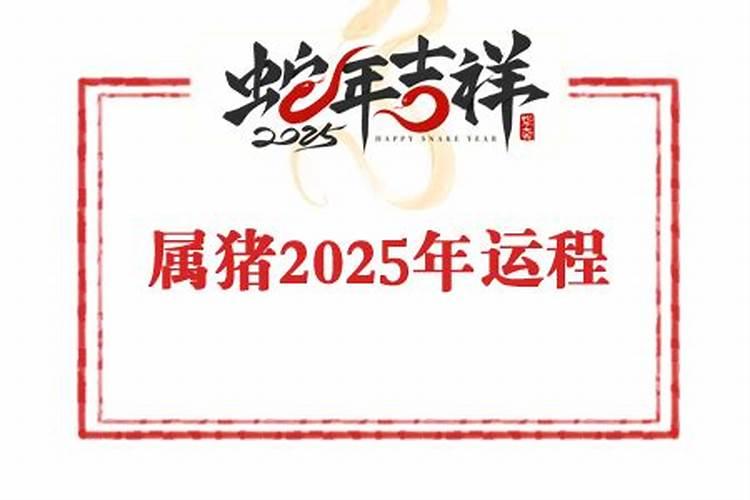 2025年苏民峰12生肖运程