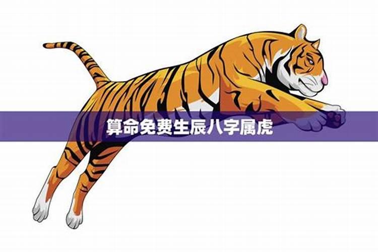 ...女,1998年阴历腊月二十三,属虎,属于五行中的哪一个和生辰八字...