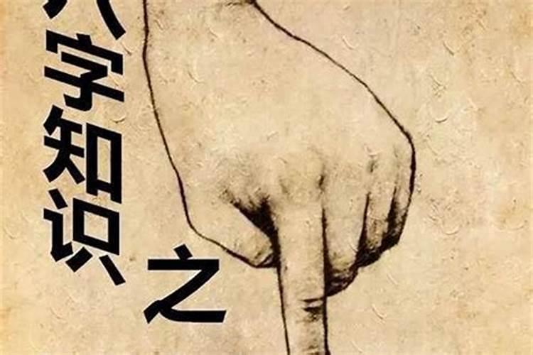 1975属兔女在2025年的每月运势
