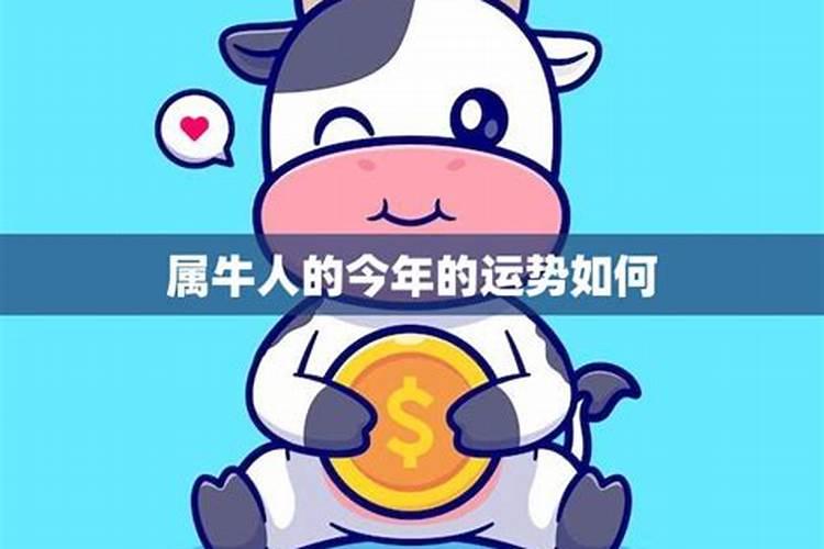 2023年属牛事业,财运,感情婚姻,健康运势及每月运程详解大全