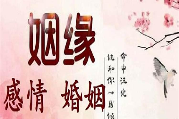 替身魔后还叫什么