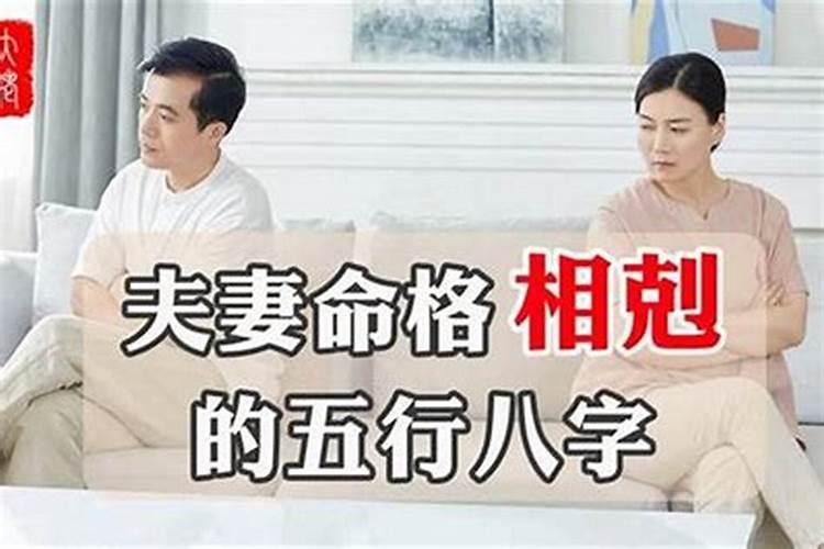 属马和属虎的合不合财运呀