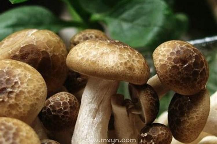 正月初一敬菩萨是几只碗