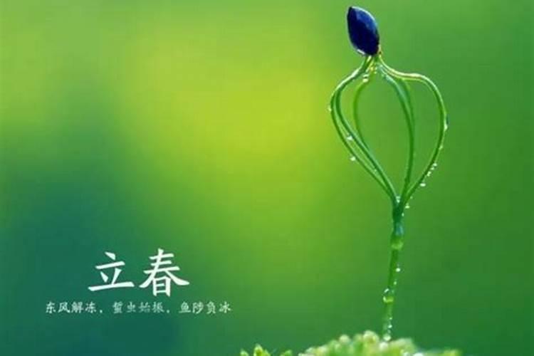 12生肖属马和什么比较合,属马的三合三害